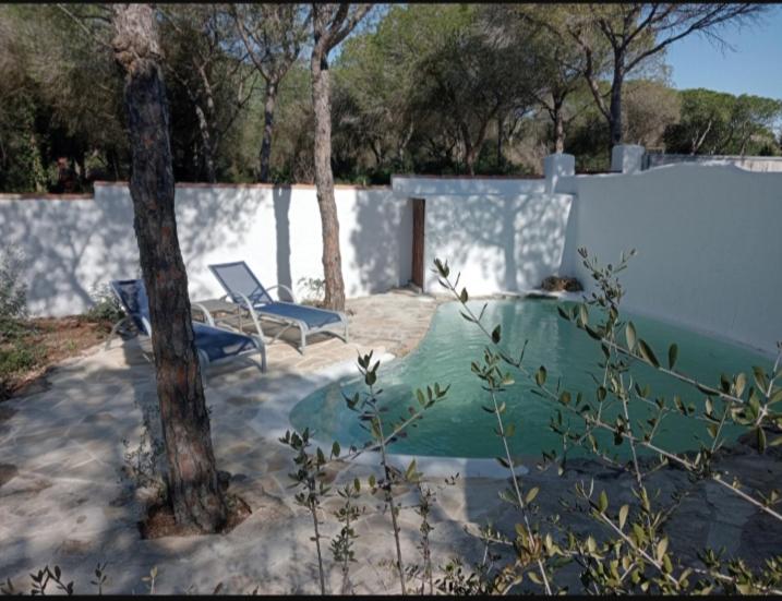Casa Palmito 2