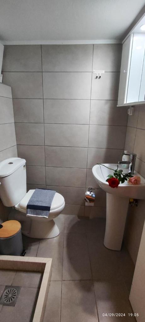 Siesta Luxury Apartment 3