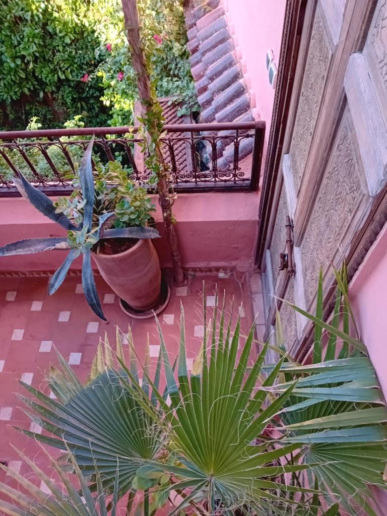 Photo de la galerie de l'établissement Riad Lumières du Sud, à Marrakech