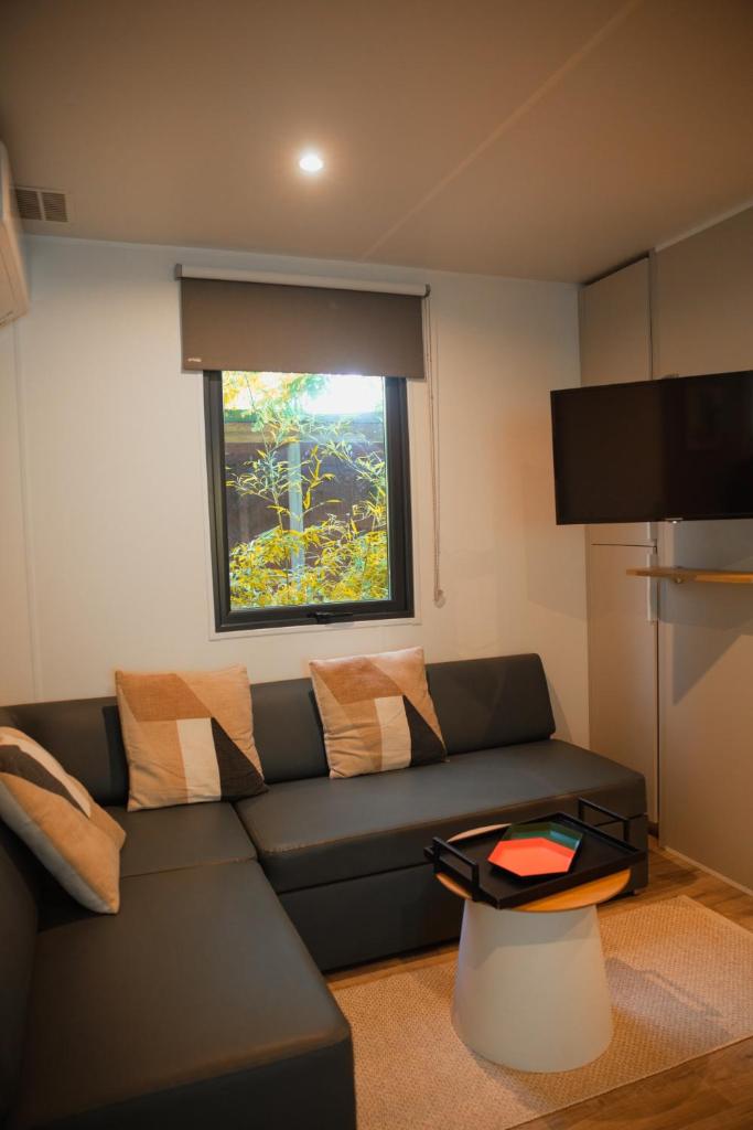 un salon avec un canapé et une fenêtre dans l'établissement Rives d'Arc, à Vallon-Pont-dʼArc