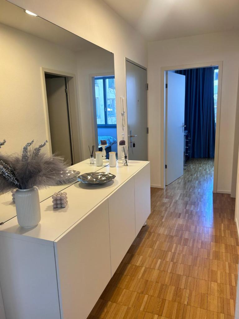 Apartment Basel 3