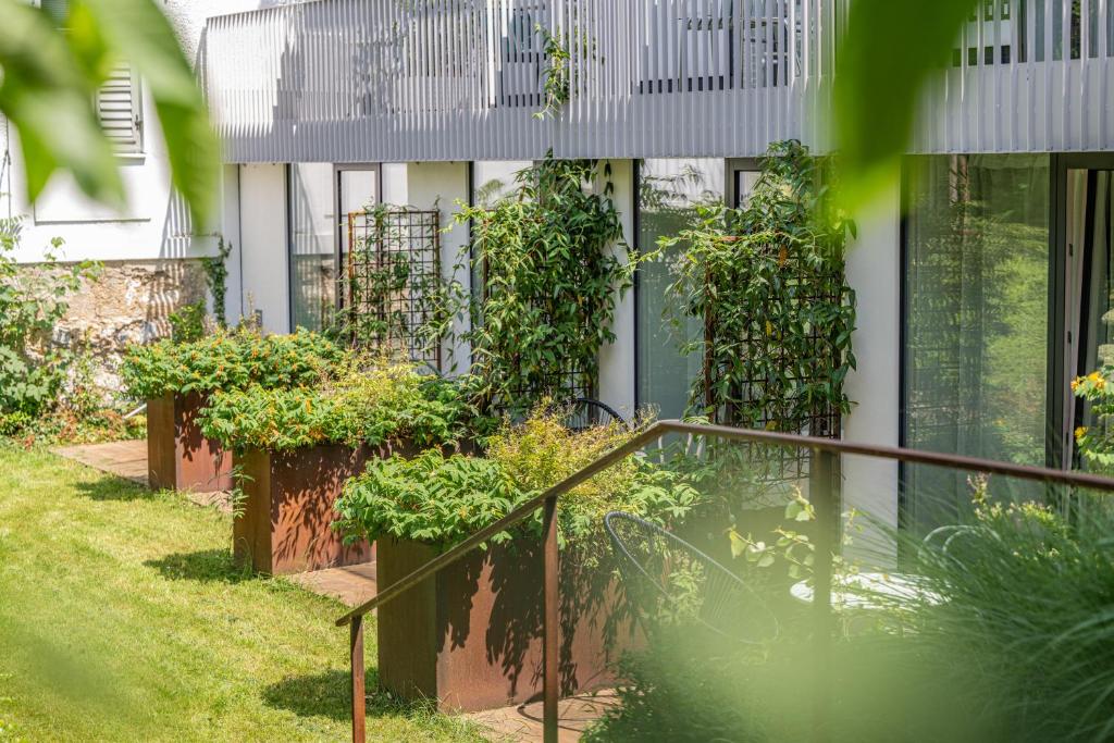 Happy Stay Rentals 2