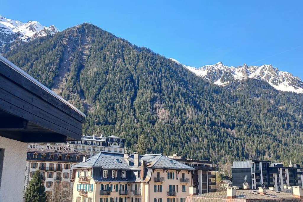 Two bedroom apartment, Hypercenter, terrace Mont Blanc, parking 7