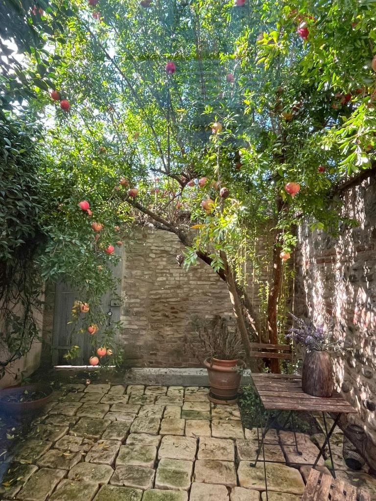 Casa evelina 8