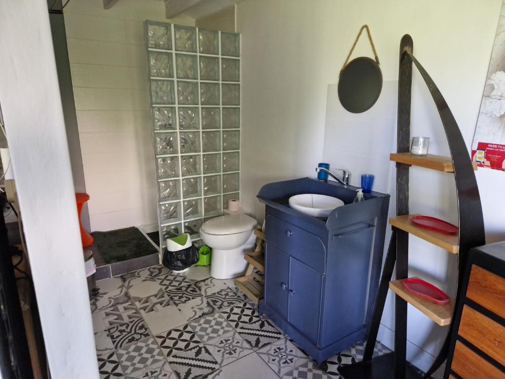 une salle de bain avec un lavabo bleu et des toilettes dans l'établissement Gite L'Atelier studio pp en perigord noir piscine, à Saint-Alvère