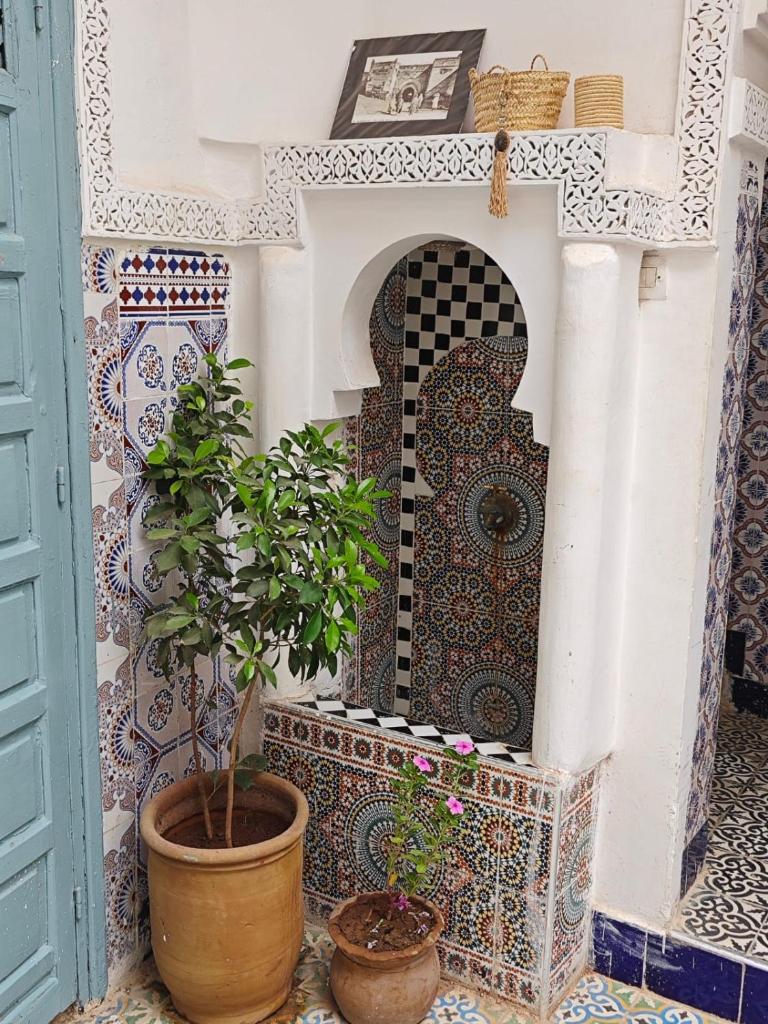 un mur en carrelage avec une cheminée et une plante en pot dans l'établissement Hostel BE 20, à Marrakech