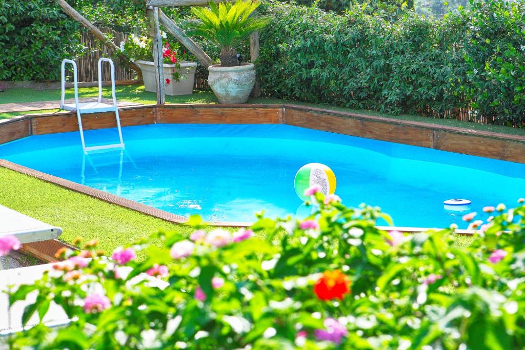 une petite piscine dans une cour avec une balle dans l'établissement Villa Flore, à Colli di Fontanelle 57 autres photos