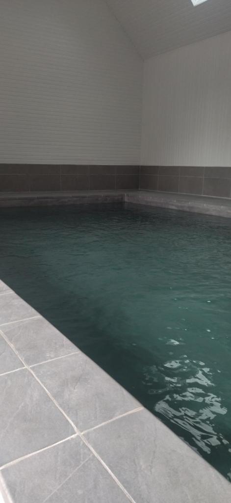 - une piscine d'eau verte dans un bâtiment dans l'établissement Gîte de la Poilane - Maison avec piscine & vue sur vignes, proche Angers, à Saint-Aubin-de-Luigné