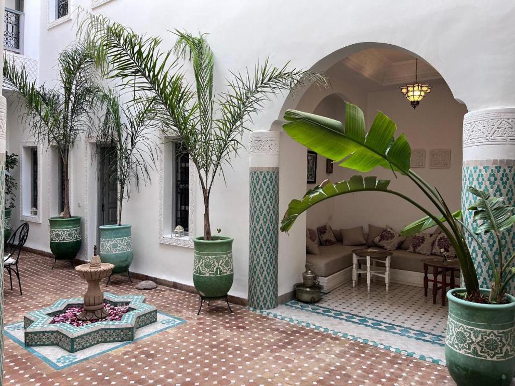 un salon avec des plantes en pot et un canapé dans l'établissement Riad El Arco ROOFTOP POOL & Spa, à Marrakech
