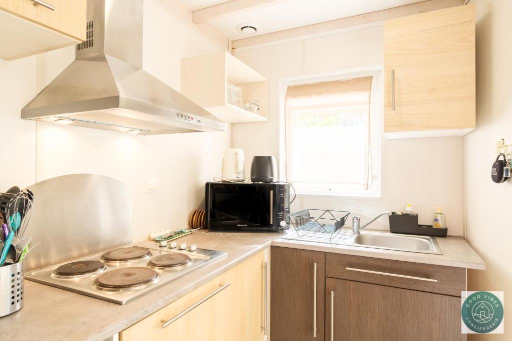 Il comprend une cuisine équipée d'une cuisinière. four supérieur à côté d'un évier dans l'établissement Parc résidentiel les vignes, à Lit-et-Mixe 15 autres photos