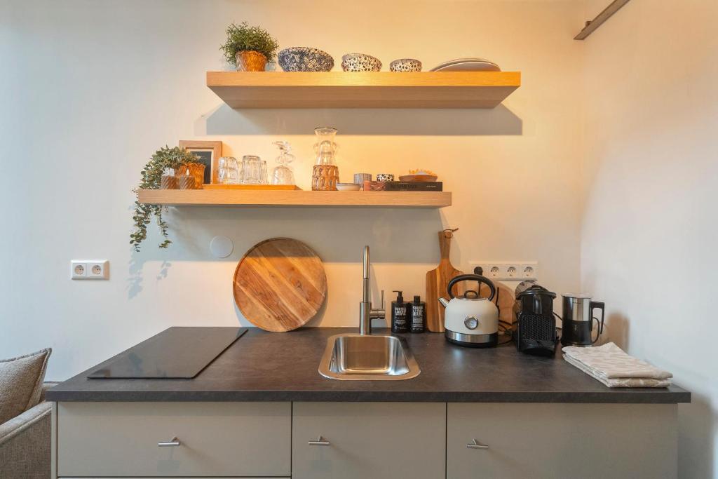 The Green Pine Tree 4