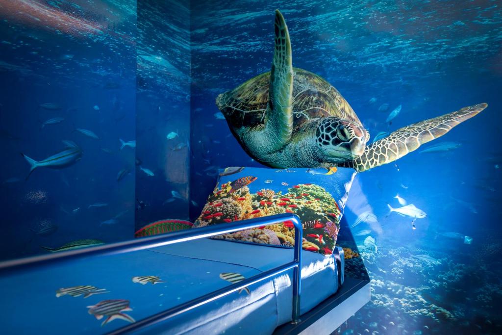 une tortue marine nageant dans un aquarium dans l'établissement Hotel Adlon - FRONTE MARE, à Riccione