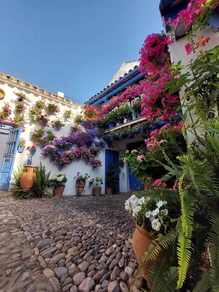 Tu casa en Córdoba fácil aparcamiento 6