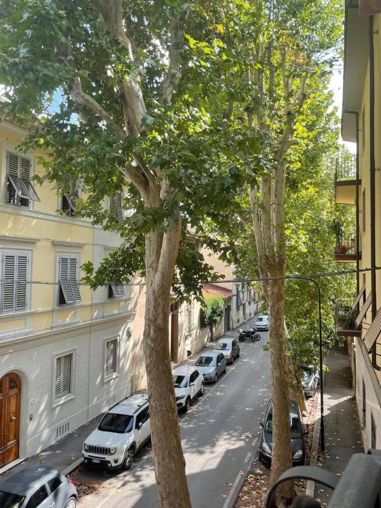 Bocca's Apartment 8 5