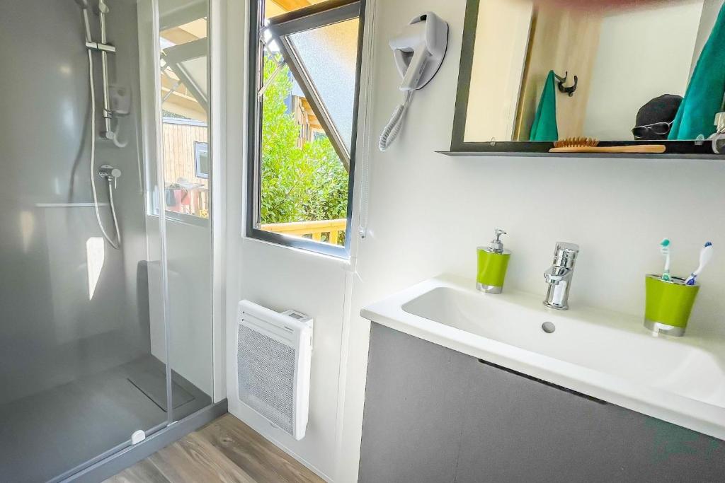 une salle de bain avec un lavabo et une douche dans l'établissement Le Domaine De Mesqueau, à Plougasnou