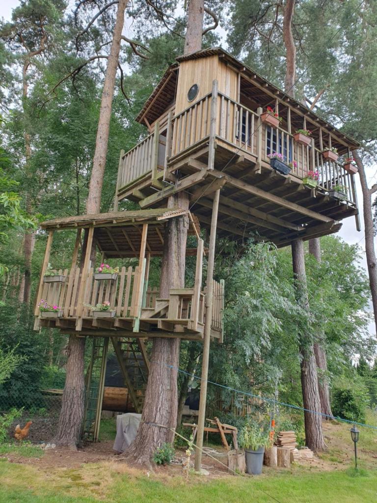 une cabane dans les arbres au sommet d'un arbre dans l'établissement Cabane dans les arbres, à Beaumontel