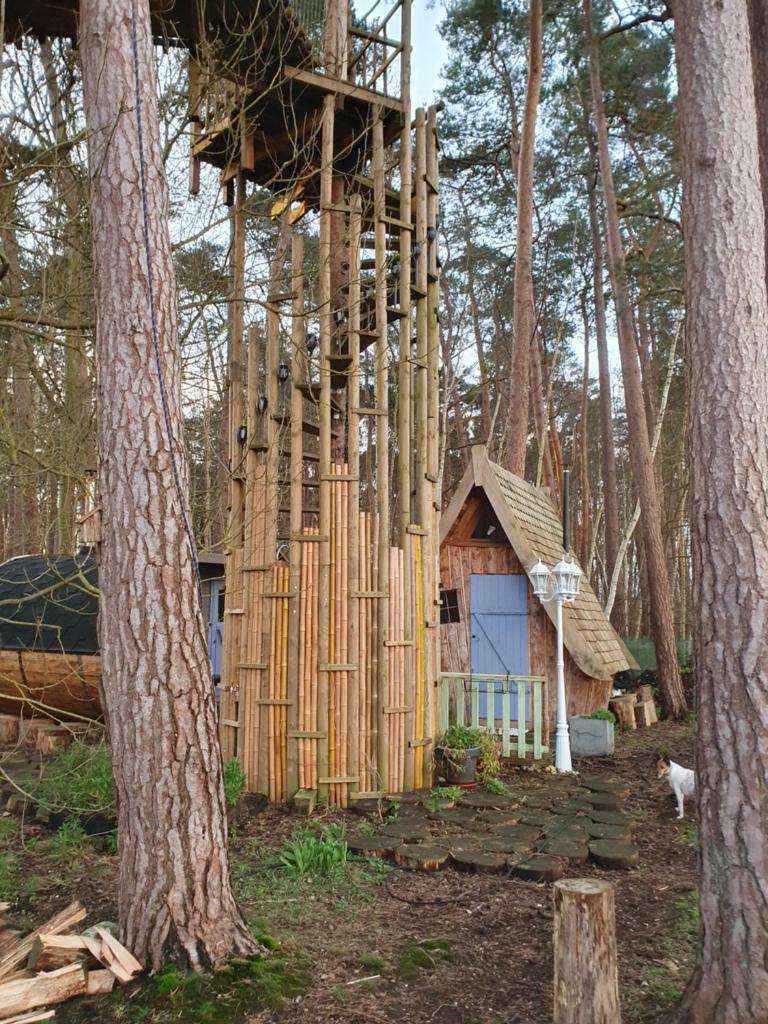 une cabane dans les arbres est en cours de construction dans les bois dans l'établissement Cabane dans les arbres, à Beaumontel