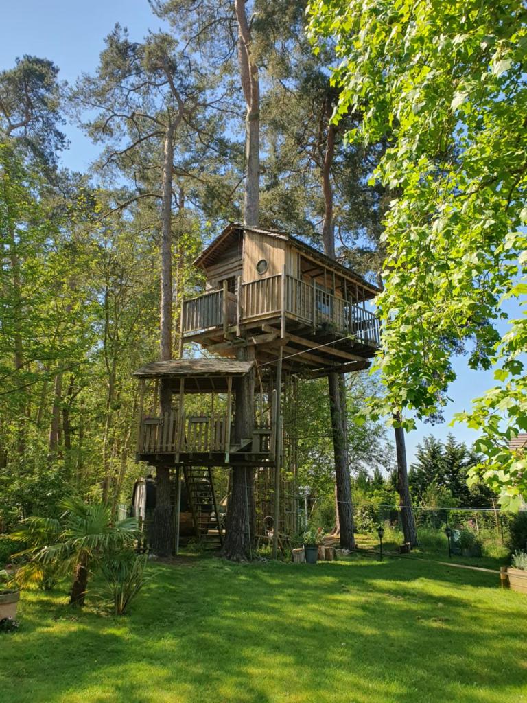 une cabane dans les arbres au milieu d'une cour dans l'établissement Cabane dans les arbres, à Beaumontel