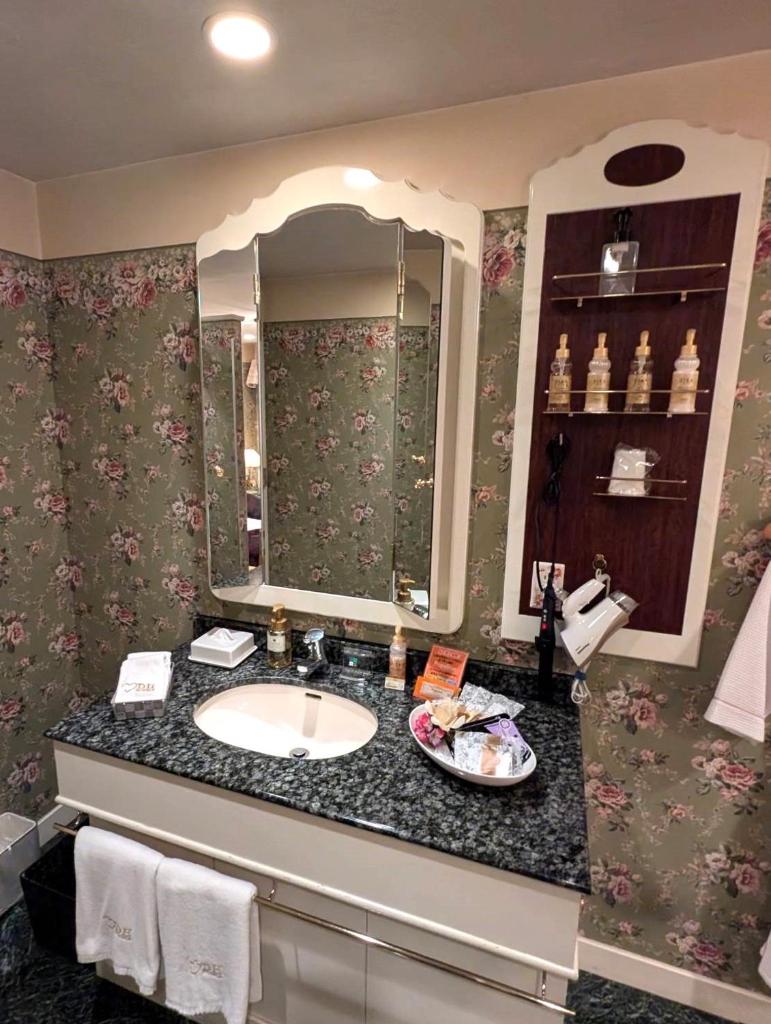 une salle de bain avec un lavabo et un miroir dans l'établissement Hotel IRIS -アイリス-, à Osaka