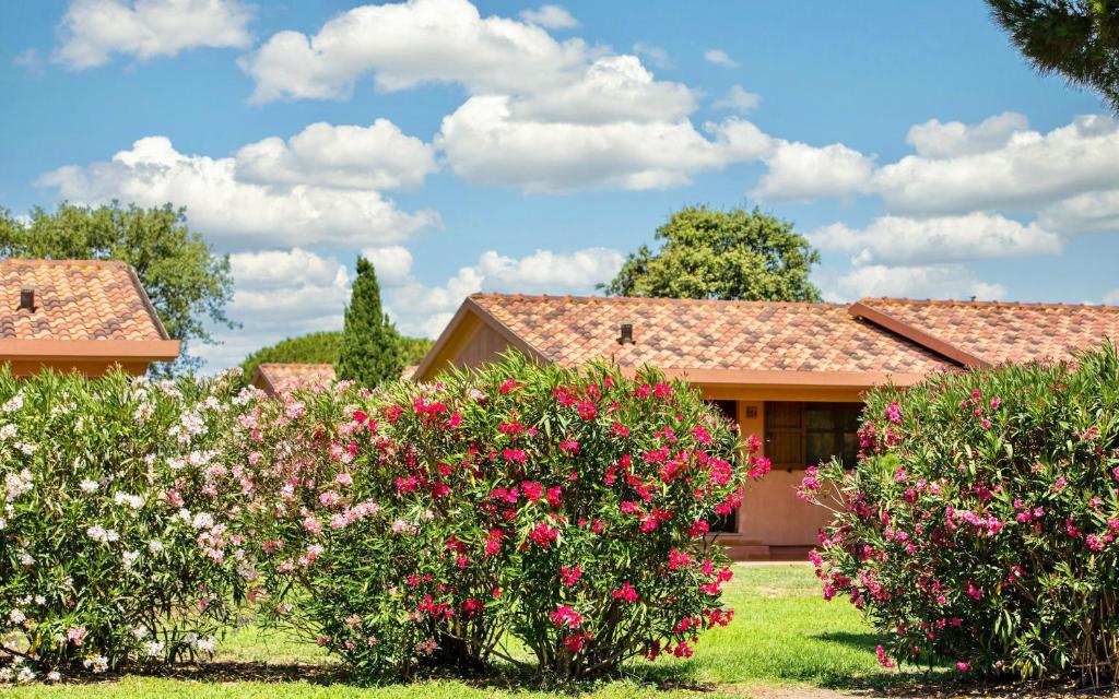 une maison avec des fleurs roses dans une cour dans l'établissement Village with swimming-pool and private equipped beach in Montalto Marina, à Torre di Montalto