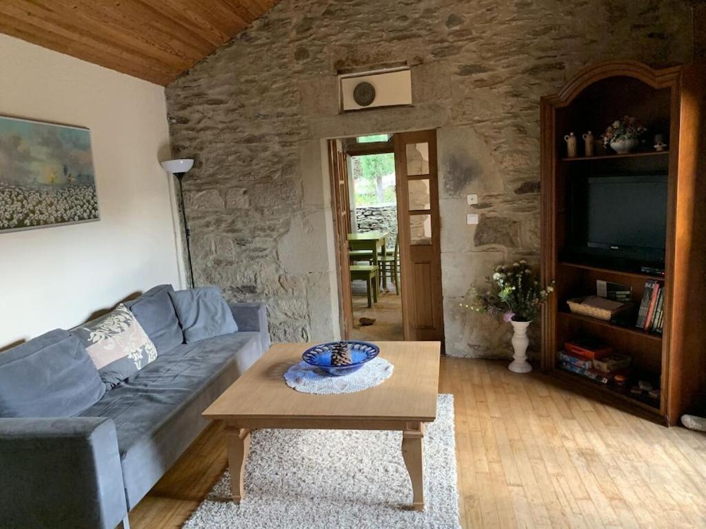 un salon avec un canapé bleu et une table basse dans l'établissement La Patouille Comfortable holiday residence, à Aujac