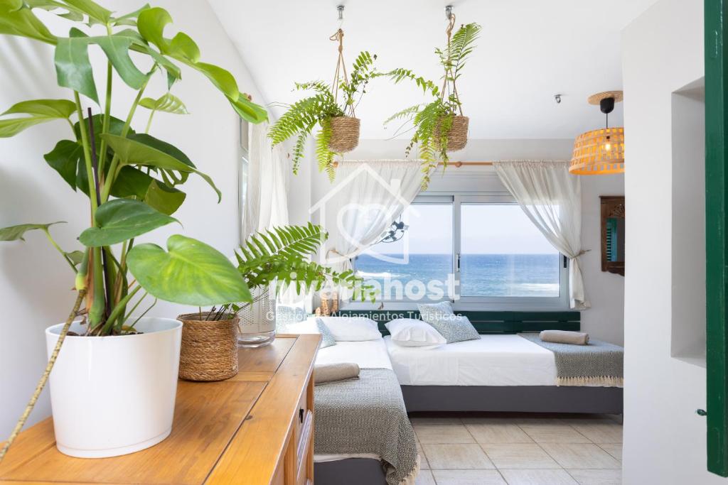 Ocean House El Pris, by Nivariahost 4