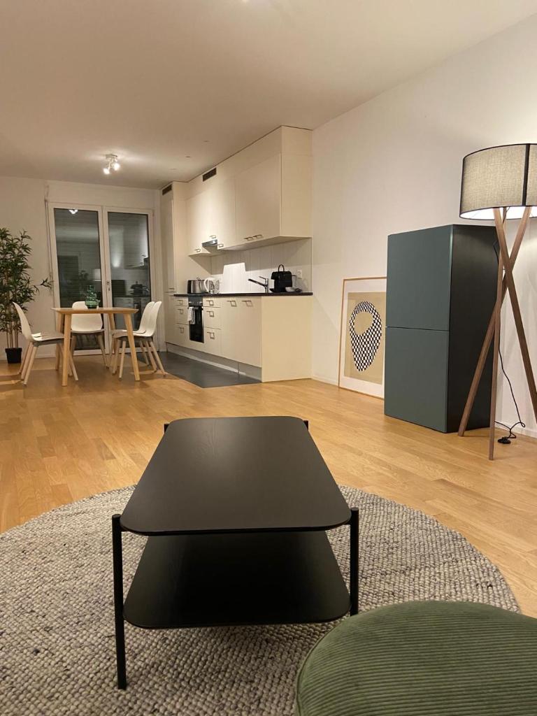 Apartments in Zelgstrasse-Zurich 4