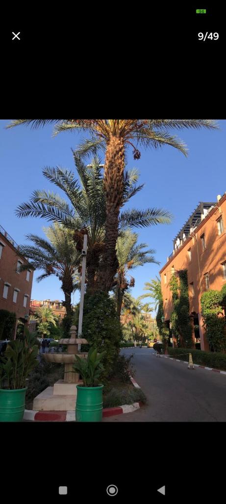 un palmier au milieu d'une rue dans l'établissement Riad Benhammou1, à Marrakech