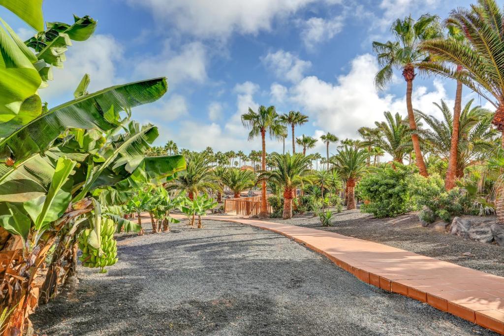 Oasis Royal 7