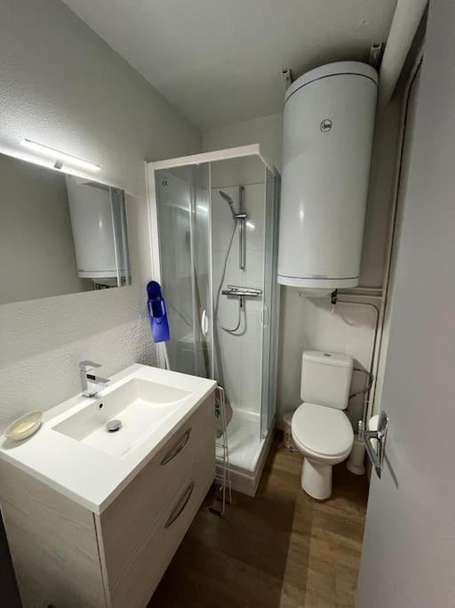 une salle de bain avec un lavabo, une douche et des toilettes dans l'établissement Beau 6 places au pied des pistes, à Le Plan