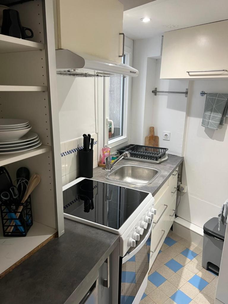 une petite cuisine avec un évier et une cuisinière dans l'établissement Relais de commerce, à Nantes
