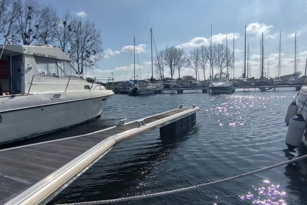 un bateau amarré dans un port de plaisance avec des flamants roses dans l'eau dans l'établissement bateau au port, à Ouistreham