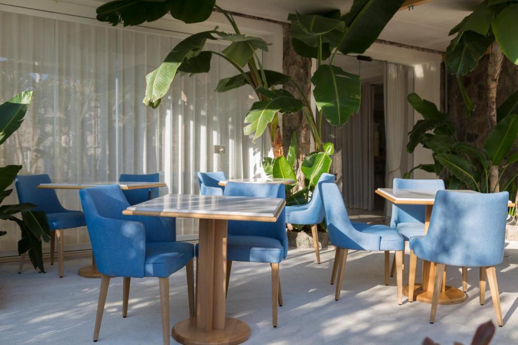 une pièce avec des tables, des chaises bleues et des plantes dans l'établissement Pagoda Lifestyle Hotel, à Ischia