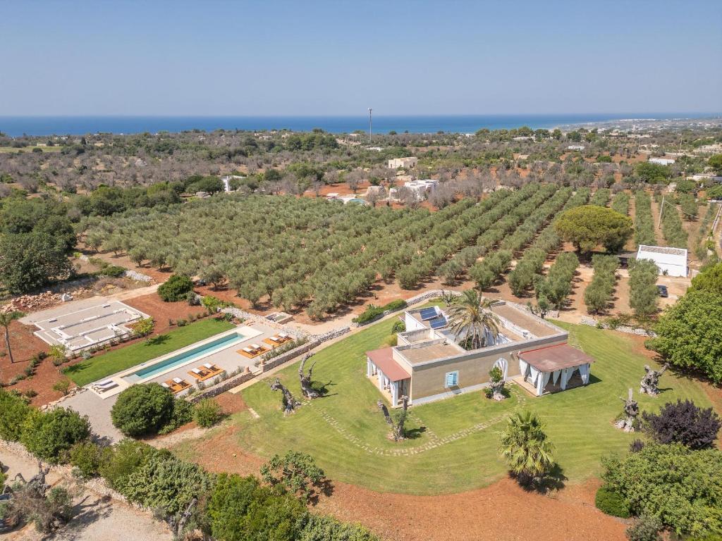 - une vue aérienne sur une maison avec une piscine et des arbres dans l'établissement Tenuta del Leccino, à Torre Vado