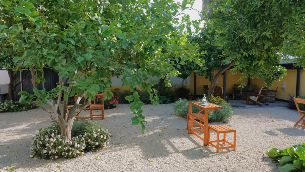 Domus Prete 6