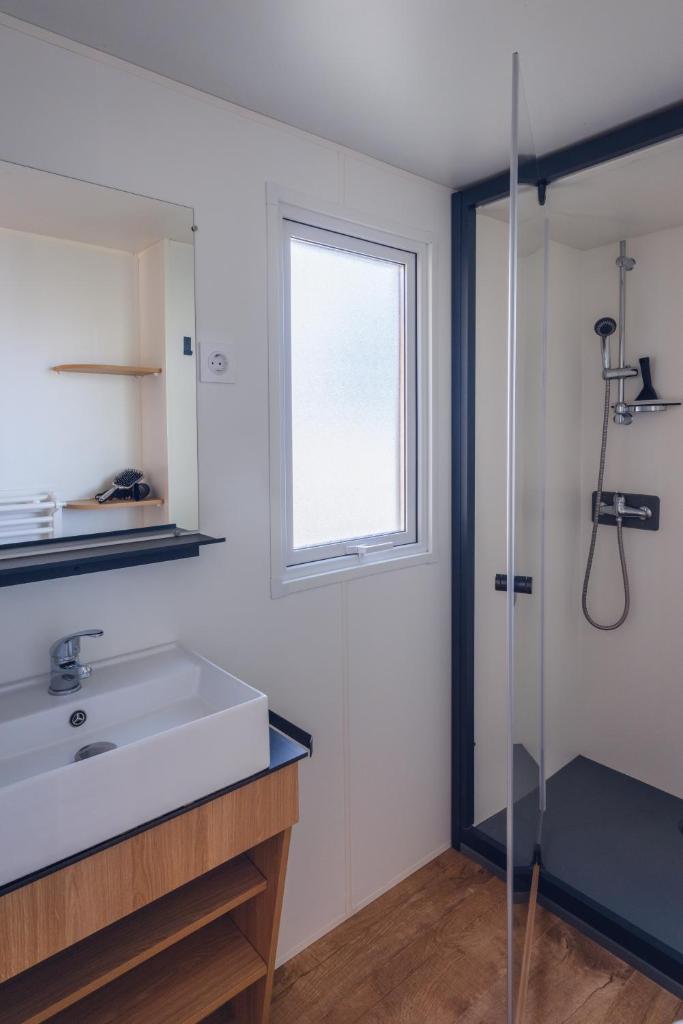 La salle de bains est pourvue d'un lavabo, d'une fenêtre et d'une douche. dans l'établissement L'Oasis des Dombes, à Ambérieux-en-Dombes