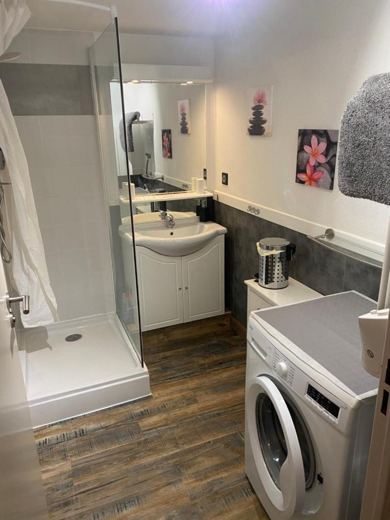 une salle de bain avec une machine à laver et un lavabo dans l'établissement Résidence Bellevue Cauterets, à Cauterets