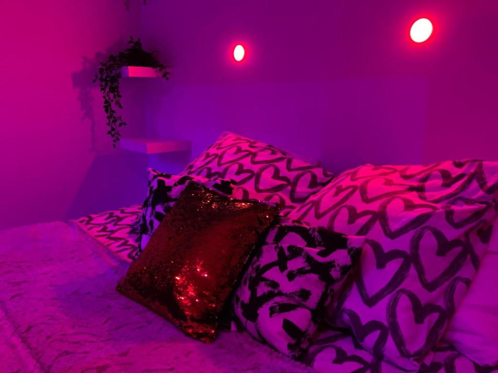 Loft privatisé avec spa XXL et piscine chauffée 8