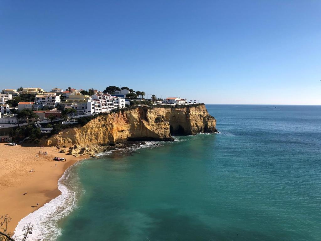 Ocean & Beach View