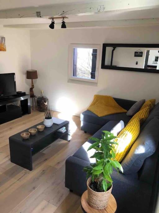 Amelie - petite maison alsacienne 1
