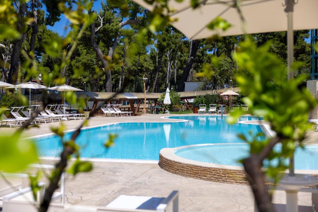 une grande piscine avec chaises et parasols dans l'établissement Paglianza Hotel, à Peschici
