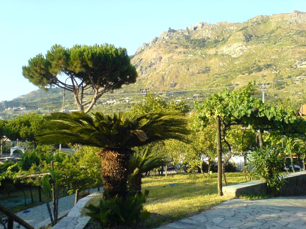 Villa Angelo