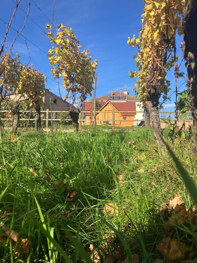 Domaine Rosfelder - locations de gîte et cabane insolite 2