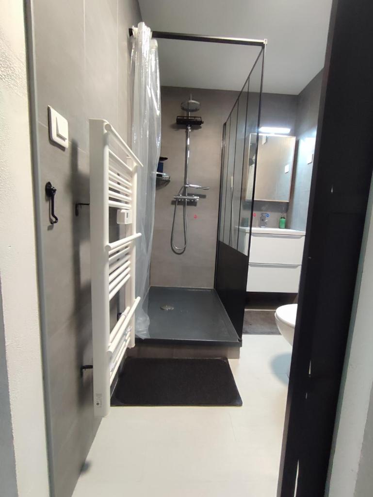 La salle de bains est pourvue d'une douche à l'italienne et de toilettes. dans l'établissement Studio Cosy 2100m pied des pistes-Direct to SKI slopes-SKI in SKI out-LA PLAGNE AIME 2000, à Aime La Plagne