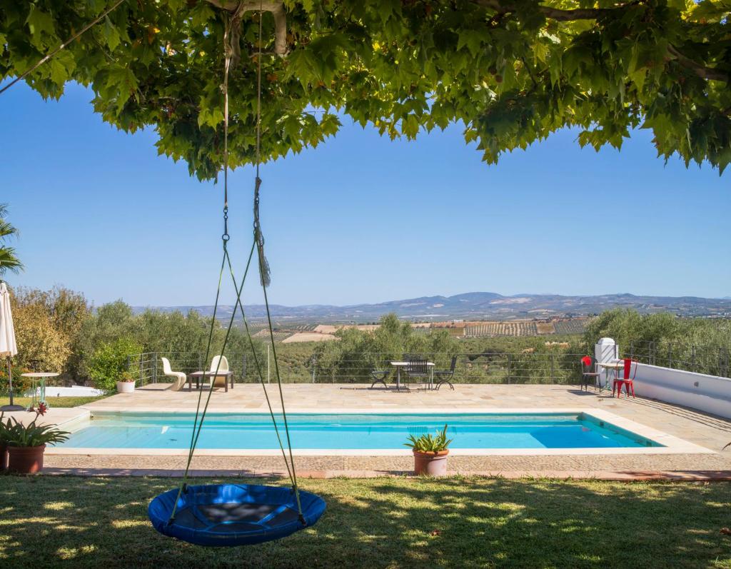 Finca Olivo Llorón 7