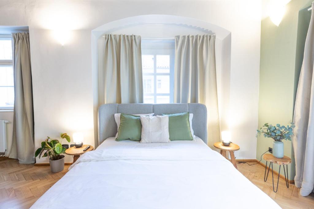 Adam's Apartment - Great Price & Best Location 7