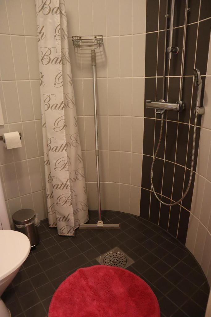 Aleksi Apartment 8