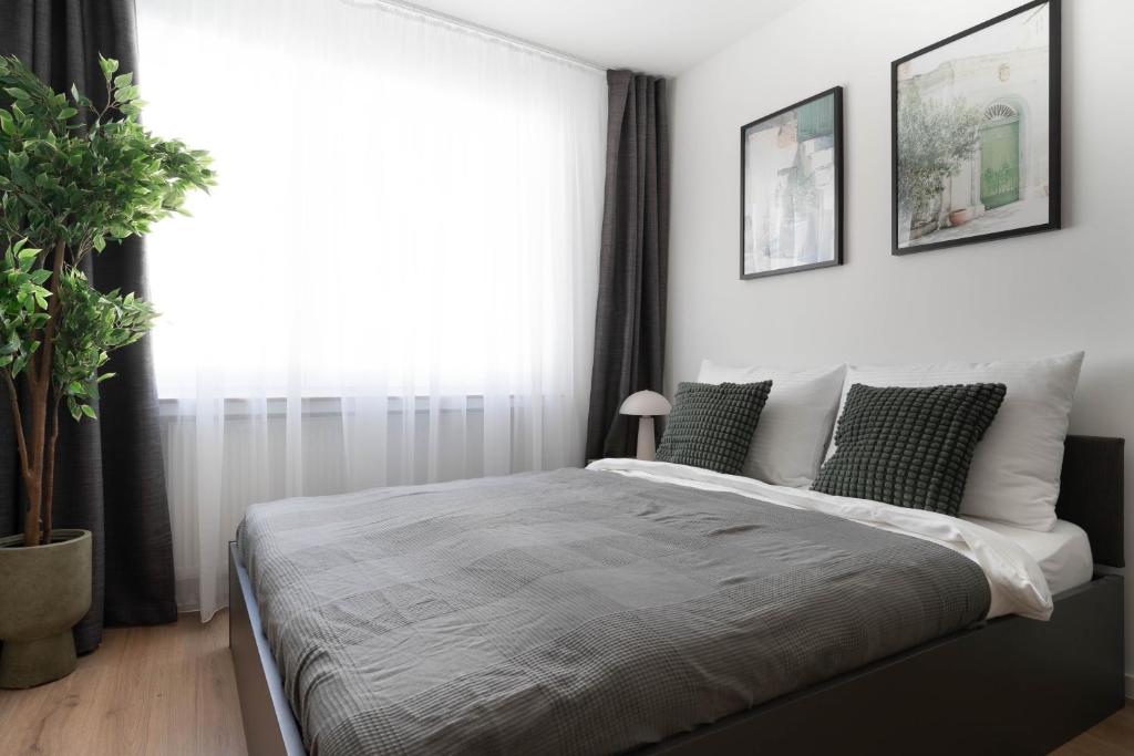 Central Bonn Apartments I home2share 2