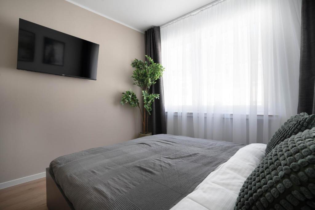 Central Bonn Apartments I home2share 4