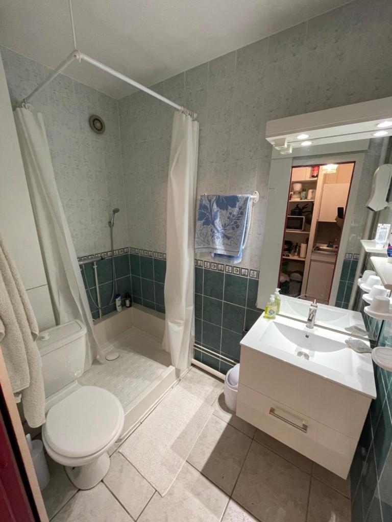 une salle de bain avec toilettes, lavabo et douche dans l'établissement studio pied des pistes coeur de station, à Villard-de-Lans